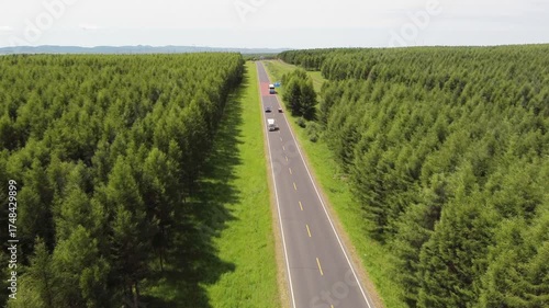 Aerial shot lone car driving on a winding asphalt road through lush green forest