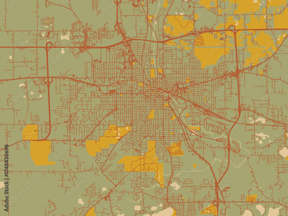 Obraz premium Graphic flat color map of Jackson, Michigan in earthy sage background with rust roadways and ochre details.
