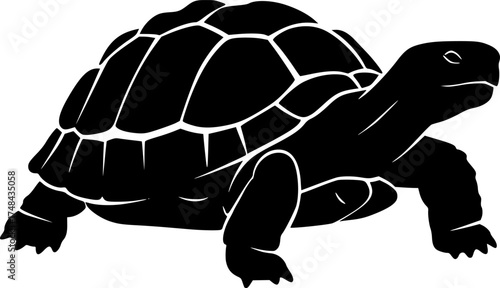 Striking black silhouette of a tortoise isolated on a clean white background

