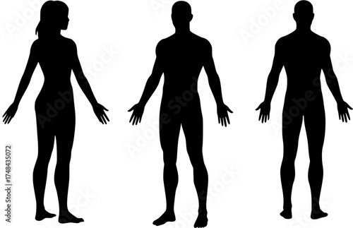 Male and Female Body Silhouettes: Human Figures for Anatomy & Design.
