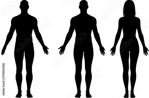 Male and Female Body Silhouettes: Human Figures for Anatomy & Design.
