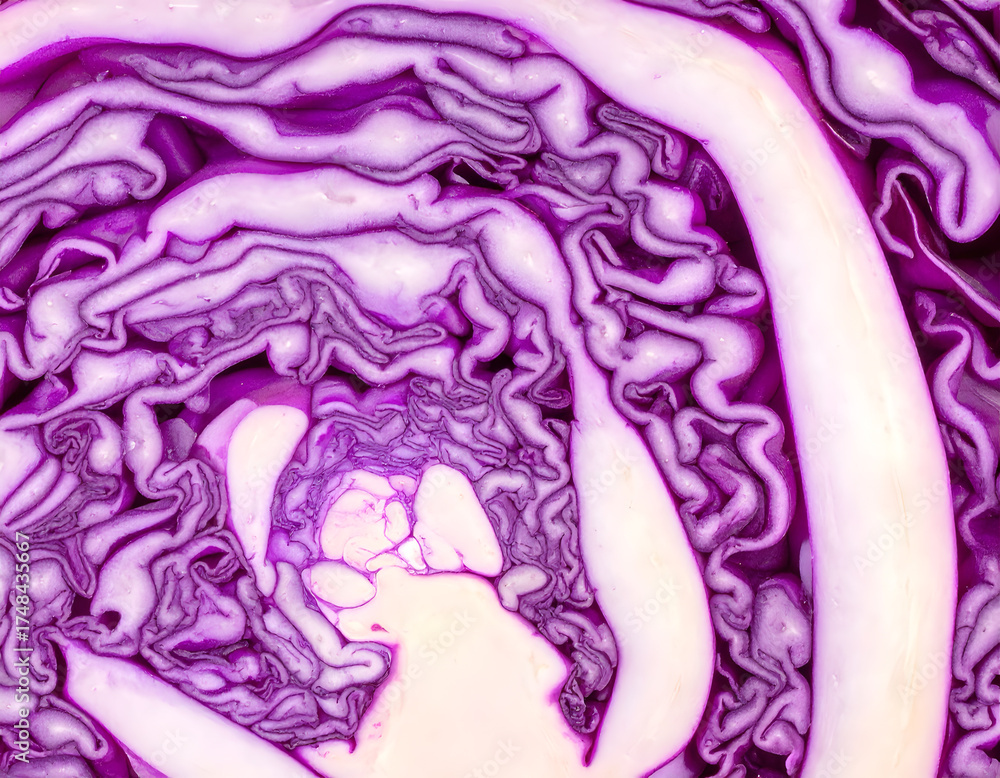 Obraz premium Close up view of a sliced purple cabbage vegetable