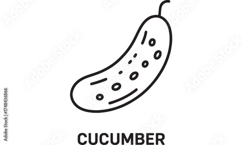 Simple outline illustration of a fresh green cucumber with seeds visible