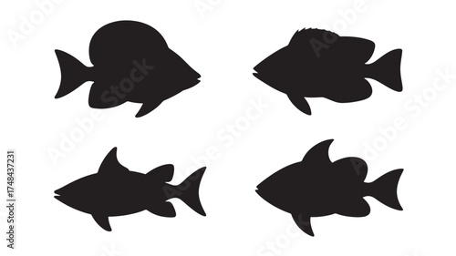Diverse collection of distinct fish silhouettes on white background