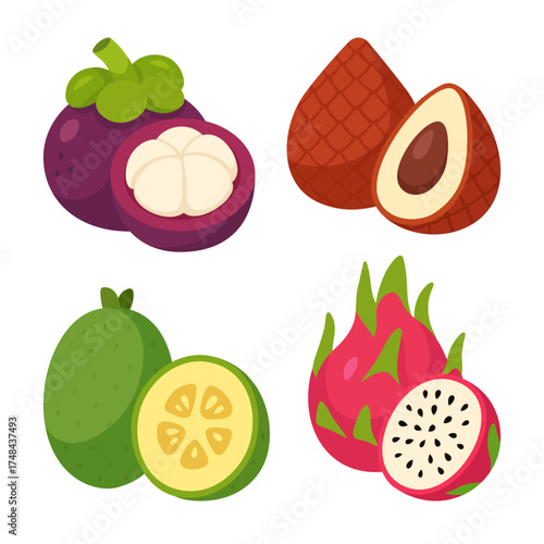 Exotic tropical fruits vector set – salak snake fruit, dragon fruit pitahaya, mangosteen and feijoa – flat colorful illustration for healthy food, packaging, culinary and diet concepts