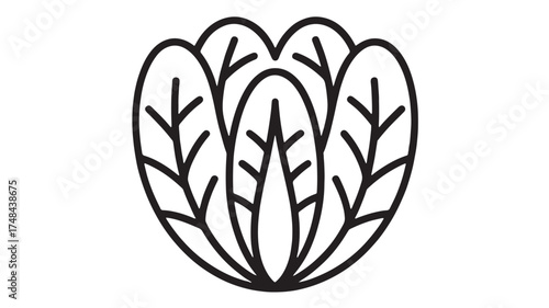 Stylized line art of a fresh green lettuce head, symbolizing healthy eating and organic ingredients.