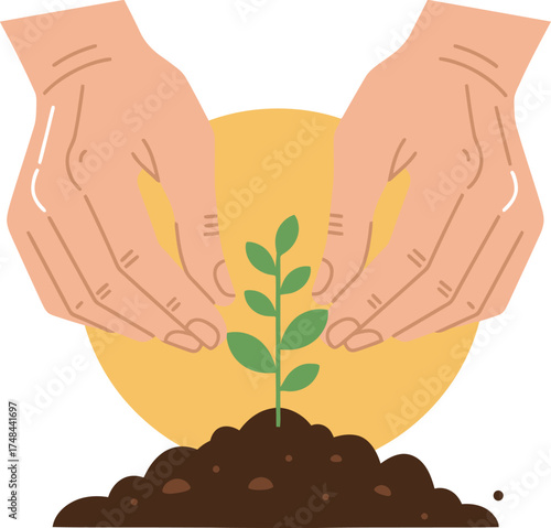 Illustration of hands gently planting a small green seedling