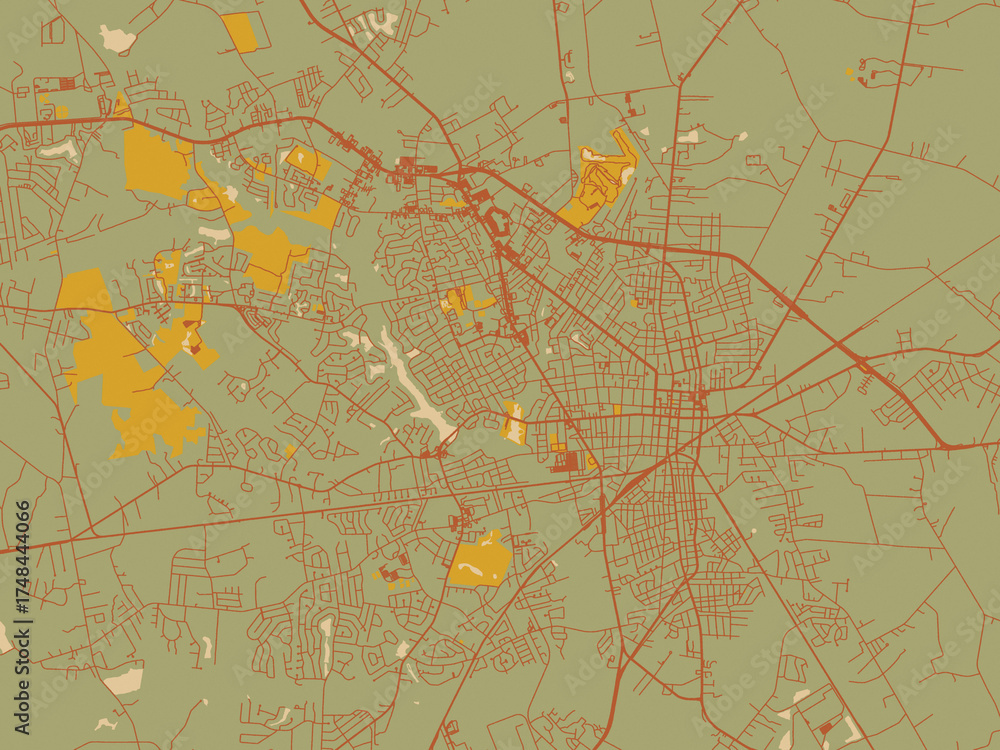 Fototapeta premium Modern flat map poster of Sumter South, Carolina in earthy sage background with rust roadways and ochre details.