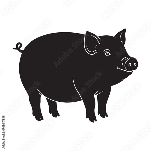 vector illustration of cartoon pig