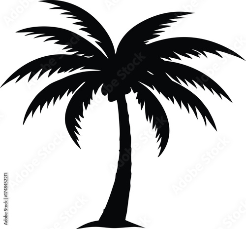 coconut tree vector, beach tree illustration