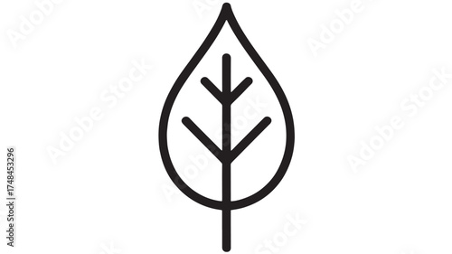 Simple, clean outline of a leaf symbolizing nature and growth.