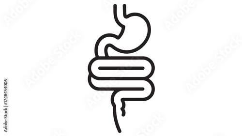 Clean line art illustration of the human digestive system, symbolizing health and anatomy