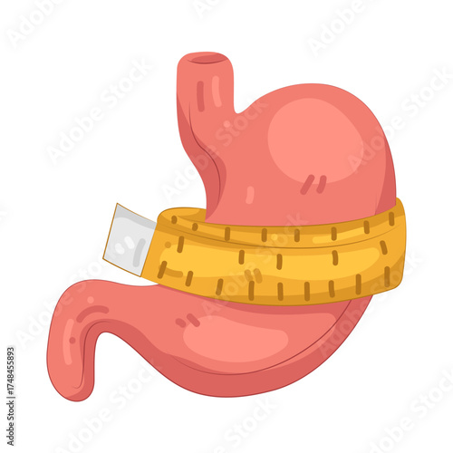 Illustration of Stomach with Measuring Tape