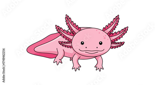 Adorable Pink Axolotl with Feathery Gills.