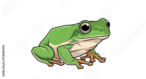 A vibrant green cartoon frog with large expressive eyes and webbed feet.