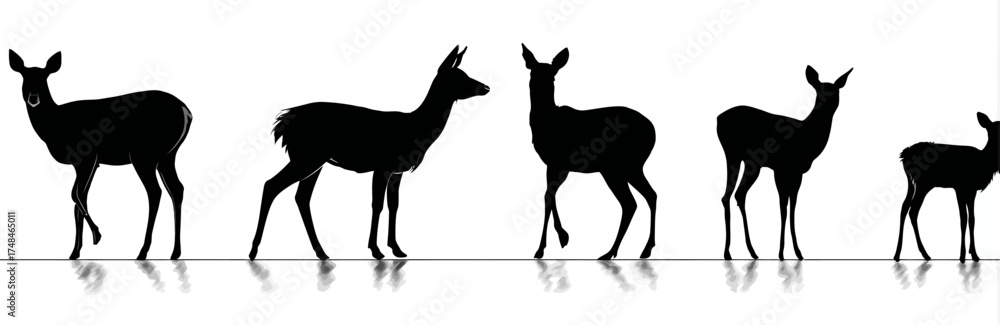 Fototapeta premium Silhouettes of five deer in different poses against a white background, with subtle reflections