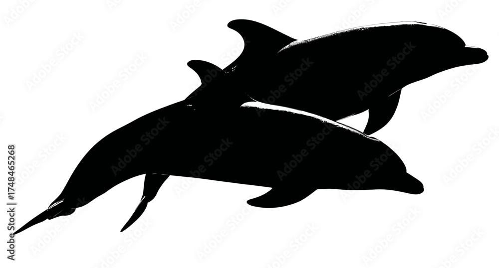 Fototapeta premium A black and white image of two dolphins leaping through the water, silhouette on a white backdrop