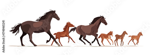 Digital illustration of several horses, including adults and foals, running across a white background