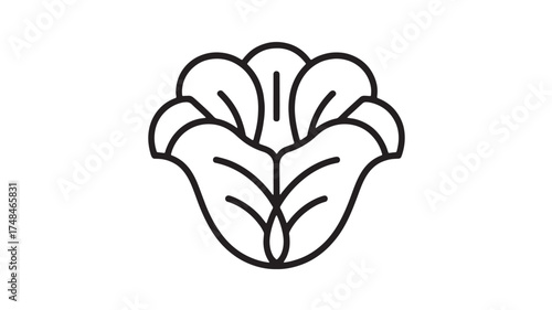 Elegant outline of a blooming flower with delicate petals