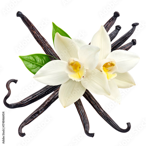 Artistic close-up of vanilla beans, flowers, and a green leaf on a black background