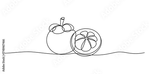 Artistic continuous line drawing of a whole and halved mangosteen fruit minimalist style vector