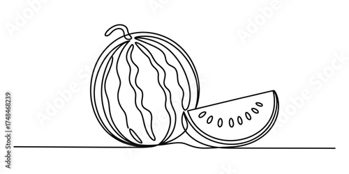The continuous line drawing of a watermelon and a slice capturing its essence with simplicity and flow vector