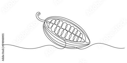 Elegant continuous one line drawing of a cacao pod and leaves with flowing organic lines vector