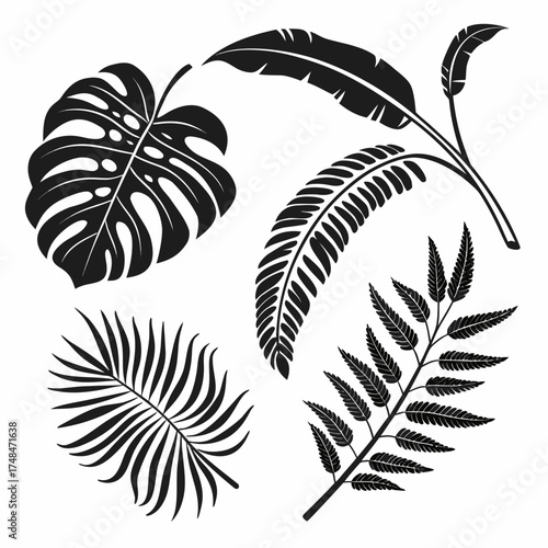 Four black silhouette tropical leaf designs tropical leaves 1