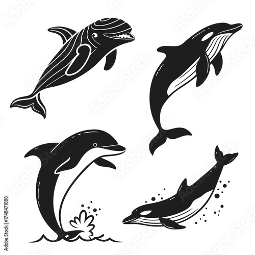 Four black silhouette vector designs of whales and dolphins
