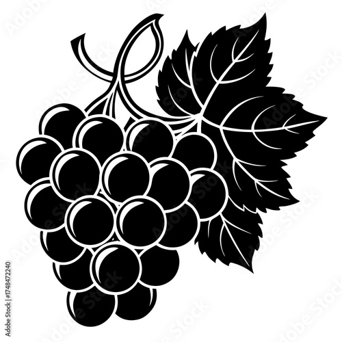 Grapes vector illustration in clean flat design style vector illustration