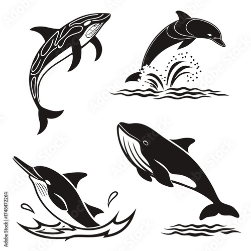 Four black whale and dolphin vector designs with water splashes