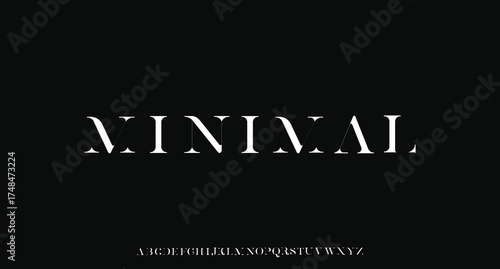 Elegant Font Uppercase Lowercase and Number. Classic Lettering Minimal Fashion Designs. Typography modern serif fonts regular decorative vintage concept. vector illustration

