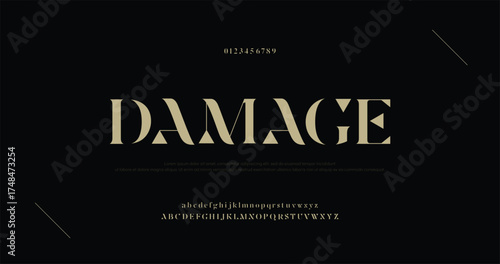 Elegant luxury alphabet letters font and number. Classic Lettering Minimal Fashion Designs. Typography fonts regular uppercase and lowercase. vector illustration