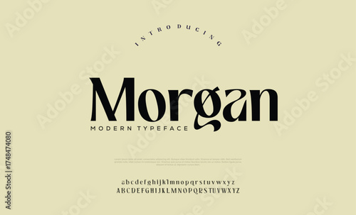 Elegant Font Uppercase Lowercase Number And Ampersand. Classic Lettering Minimal Fashion Designs. Typography modern serif fonts regular decorative vintage concept. vector illustration

