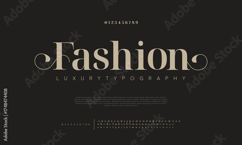 Elegant Font Uppercase Lowercase and Number. Classic Lettering Minimal Fashion Designs. Typography modern serif fonts regular decorative vintage concept. vector illustration

