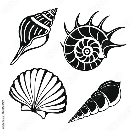 Four black silhouette vector designs of seashells conch