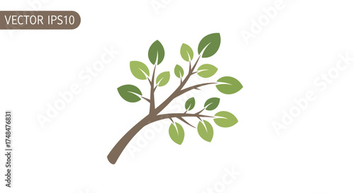 Branch with Green Leaves: A Simple Vector Illustration of Natures Growth.