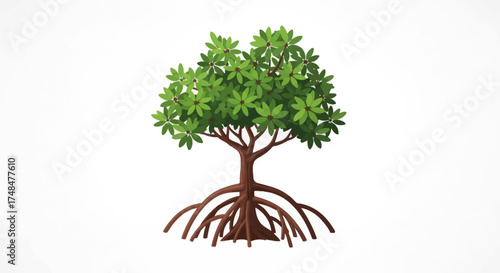 Lush Green Mangrove Tree with Exposed Aerial Roots.