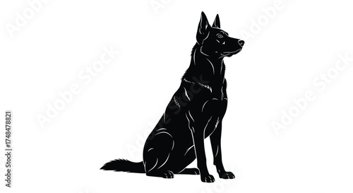 A silhouette of a black german shepherd dog sitting attentively.