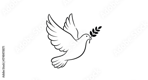 A white dove of peace carrying an olive branch in its beak in flight.