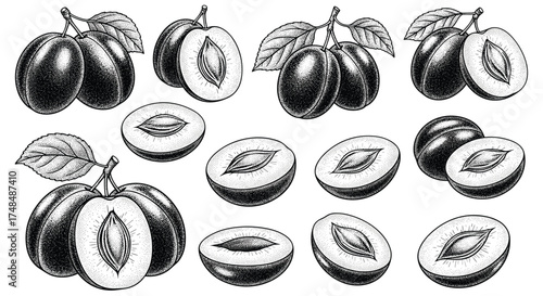 A collection of ripe plums with leaves shown from various angles.