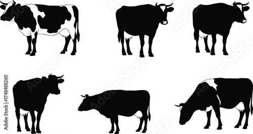 Cow silhouette vector illustration with six black and white patterned cattle in different postures, farm animal design, rural agriculture livestock art