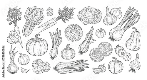 A collection of hand-drawn healthy root vegetables and leafy greens arranged artistically.