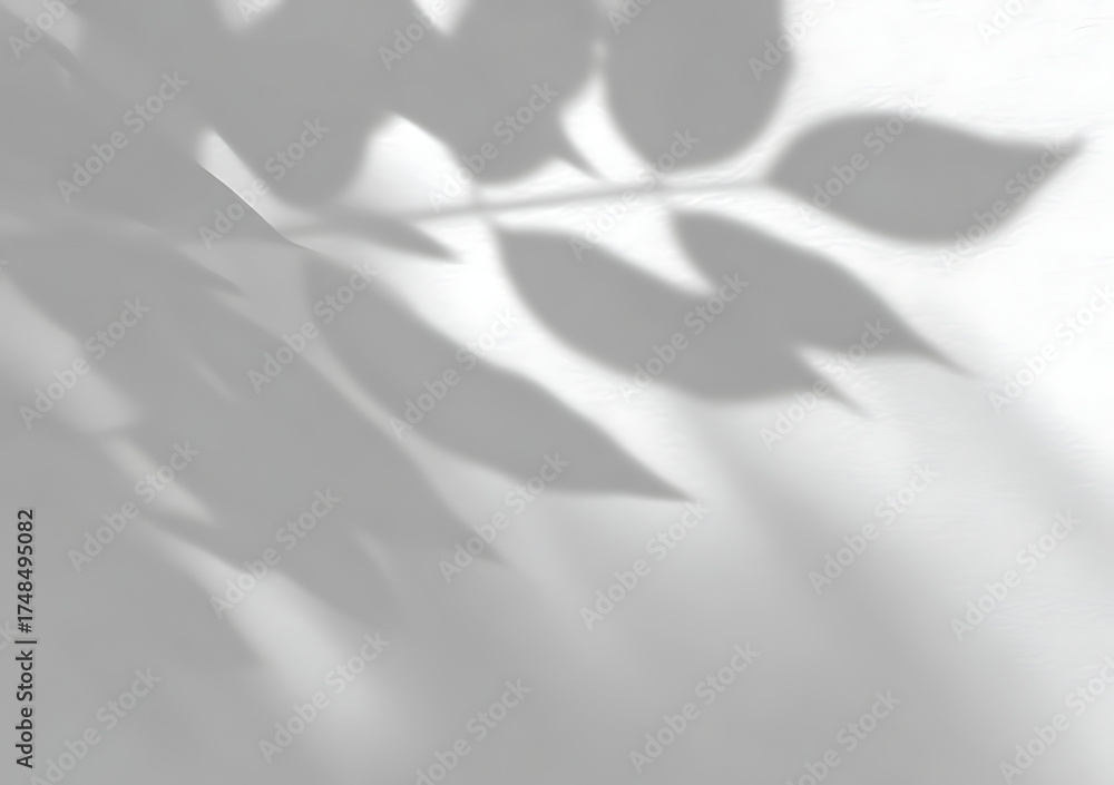 Obraz premium Close-up of the shadow from leaves on a white background
