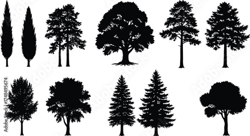 Silhouette collection of diverse tree species vector illustration showing natural shapes, foliage patterns, forest elements, landscape design, and botanical diversity