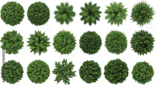 Set of twenty green shrub and tree top view vector illustrations for landscape design, garden planning, architecture, and botanical projects