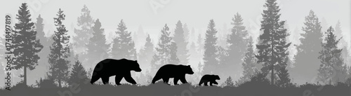 Silhouette image features a bear family walking through a misty evergreen forest