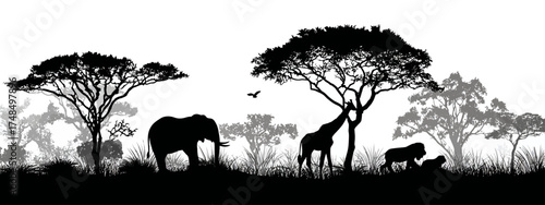 A black and white silhouette scene depicts wildlife in an African savanna setting. Includes trees, animals, and a bird