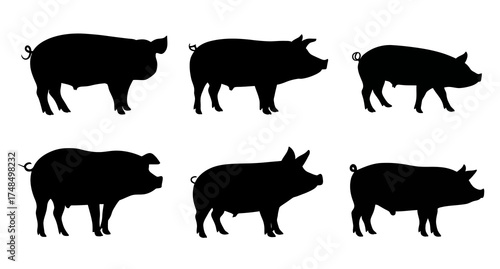 Six black silhouettes of pigs on a white background. Each in a standing profile pose
