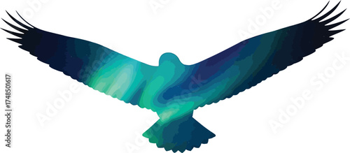 Silhouette of an eagle in flight filled with aurora borealis, isolated on white background a stunning combination of wildlife and natural phenomenon, perfect for prints